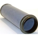 Purchase Top-Quality Air Filter by WIX - 46525 pa4