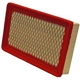 Purchase Top-Quality WIX - 49067 - Air Filter pa3