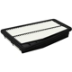 Purchase Top-Quality WIX - 49100 - Air Filter pa3