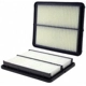 Purchase Top-Quality Air Filter by WIX - 49180 pa1