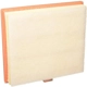 Purchase Top-Quality Air Filter by WIX - 49421 pa4