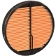 Purchase Top-Quality Air Filter by WIX - 49520 pa5