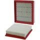 Purchase Top-Quality WIX - 49756FR - Air Filter pa2