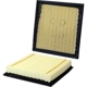 Purchase Top-Quality WIX - 49883FR - Air Filter pa3