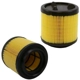 Purchase Top-Quality WIX - WA11099 - Air Filter pa1