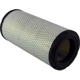 Purchase Top-Quality Air Filter by WIX - WA10028 pa5