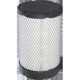 Purchase Top-Quality Air Filter by WIX - WA10035 pa5