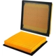 Purchase Top-Quality WIX - WA10039 - Air Filter pa6