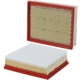 Purchase Top-Quality WIX - WA10048 - Air Filter pa4