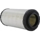 Purchase Top-Quality Air Filter by WIX - WA10161 pa4