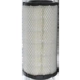 Purchase Top-Quality Air Filter by WIX - WA10161 pa5