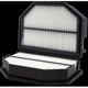 Purchase Top-Quality Air Filter by WIX - WA10164 pa2