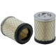 Purchase Top-Quality Air Filter by WIX - WA10165 pa1