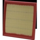 Purchase Top-Quality WIX - WA10313 - Air Filter pa5