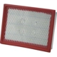 Purchase Top-Quality Air Filter by WIX - WA10386 pa4