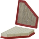 Purchase Top-Quality Air Filter by WIX - WA10393 pa5
