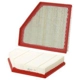 Purchase Top-Quality Air Filter by WIX - WA10560 pa2