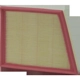 Purchase Top-Quality WIX - WA10565 - Air Filter pa6