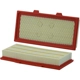 Purchase Top-Quality Air Filter by WIX - WA10651 pa1