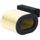 Purchase Top-Quality WIX - WA10679 - Air Filter pa3