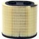 Purchase Top-Quality WIX - WA10697 - Air Filter pa3