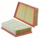 Purchase Top-Quality Air Filter by WIX - WA10888 pa2