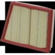 Purchase Top-Quality WIX - WA9792 - Air Filter pa5