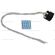 Purchase Top-Quality Air Flow Sensor Connector by BLUE STREAK (HYGRADE MOTOR) - HP4796 pa1