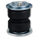 Purchase Top-Quality Air Helper Spring by AIR LIFT - 50290 pa3