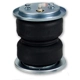 Purchase Top-Quality Air Helper Spring by AIR LIFT - 50293 pa6