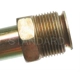Purchase Top-Quality Air Injection Check Valve by BLUE STREAK (HYGRADE MOTOR) - AV21 pa2
