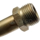 Purchase Top-Quality Air Injection Check Valve by BLUE STREAK (HYGRADE MOTOR) - AV37 pa3