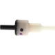 Purchase Top-Quality Air Injection Check Valve by BLUE STREAK (HYGRADE MOTOR) - AV80 pa3