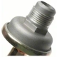 Purchase Top-Quality Air Injection Check Valve by BLUE STREAK (HYGRADE MOTOR) - AV36 pa3