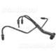 Purchase Top-Quality Air Injection Pipe by BLUE STREAK (HYGRADE MOTOR) - AT110 pa2