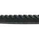 Purchase Top-Quality CONTINENTAL - 15411 - Serpentine Belt - Automotive V-Belt pa2