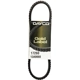 Purchase Top-Quality Air Pump And Fan Belt by DAYCO - 17260 pa9