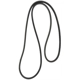 Purchase Top-Quality CONTINENTAL - 15585 - Serpentine Belt - Automotive V-Belt pa1