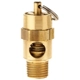 Purchase Top-Quality Air Safety Valve by TOPRING - 09-320 pa2