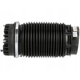 Purchase Top-Quality ARNOTT - A3016 - Air Spring pa9