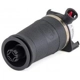 Purchase Top-Quality Air Spring by ARNOTT - A2173 pa3