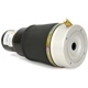 Purchase Top-Quality Air Spring by ARNOTT - A2571 pa12