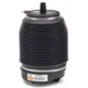 Purchase Top-Quality Air Spring by ARNOTT - A2960 pa1