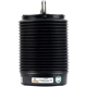 Purchase Top-Quality Air Spring by ARNOTT - A3307 pa3