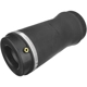 Purchase Top-Quality Air Spring by AUTOTECNICA - CY0919468 pa3