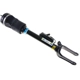 Purchase Top-Quality Air Spring by BILSTEIN - 44-156268 pa1