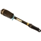 Purchase Top-Quality Air Spring by BILSTEIN - 44-165062 pa1