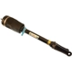 Purchase Top-Quality Air Spring by BILSTEIN - 44-165062 pa2