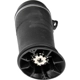 Purchase Top-Quality DORMAN - 949-269 - Air Spring pa4