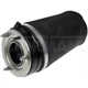 Purchase Top-Quality Air Spring by DORMAN - 949-865 pa1